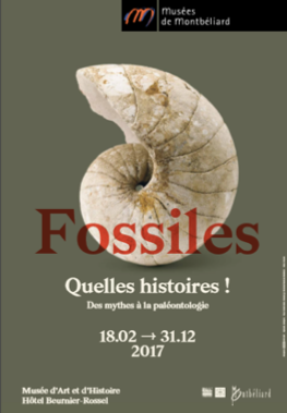 Fossiles. Quelles histoires ! – Musées de Montbéliard