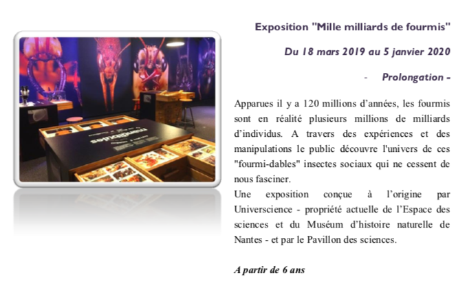 Pavillon des sciences de Montbéliard – Exposition “Mille milliards de fourmis” à voir jusqu’au 5 janvier 2020